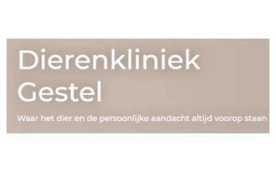 Nieuwe website online